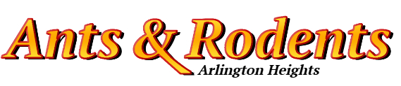 Arlington Heights Ant Exterminator & Rodent Control Company Logo